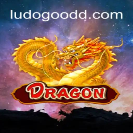 Explorando o Mundo de Dragon: Uma Jornada Inesquecível